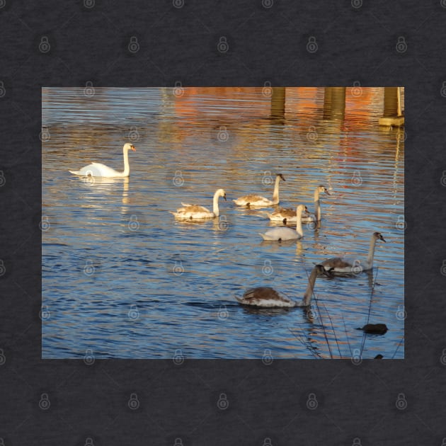 Scottish Photography Series (Vectorized) - Swanning About by MacPean